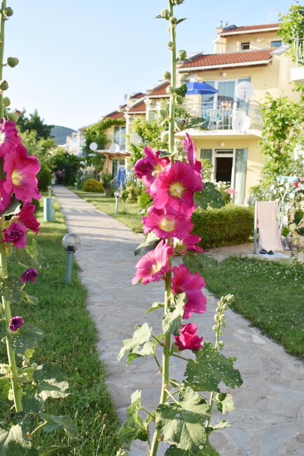 Nushev Hotel Sweti Wlas Exterior foto