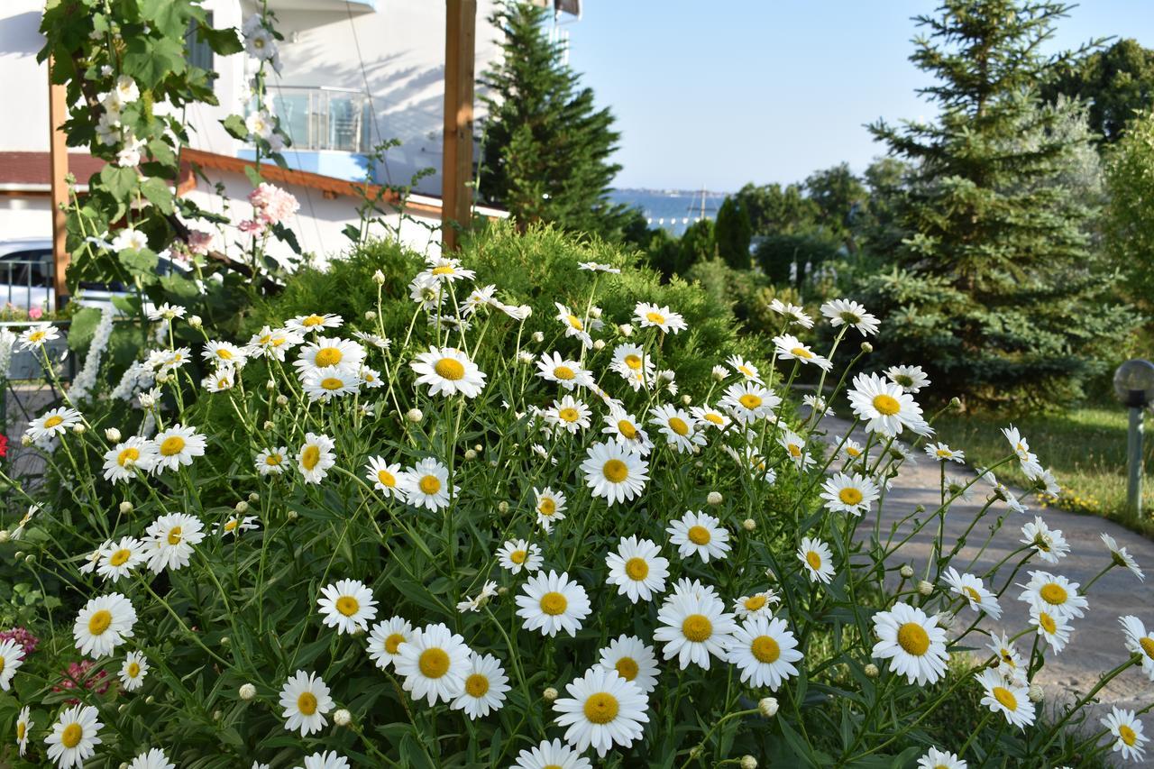Nushev Hotel Sweti Wlas Exterior foto